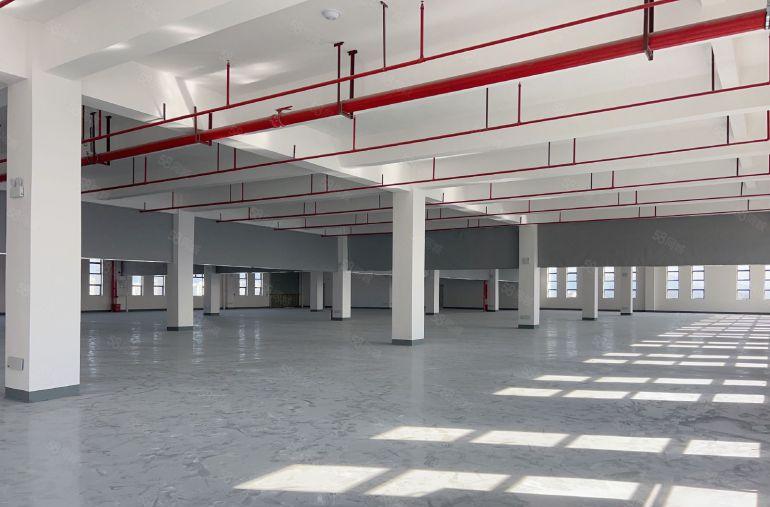 虎门怀德实际面积2300平方全新红本厂房出租5吨货梯电子仓库