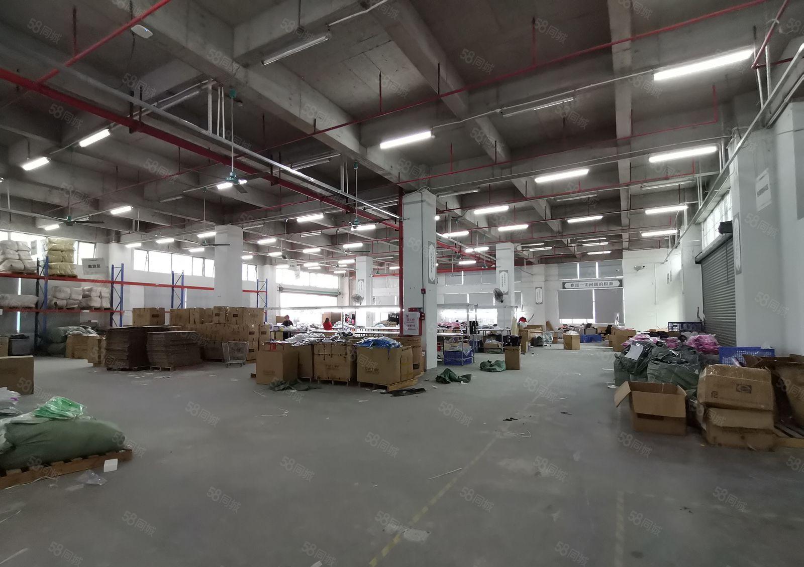 虎门新出独院2700平一层 带装修 可分租可整租