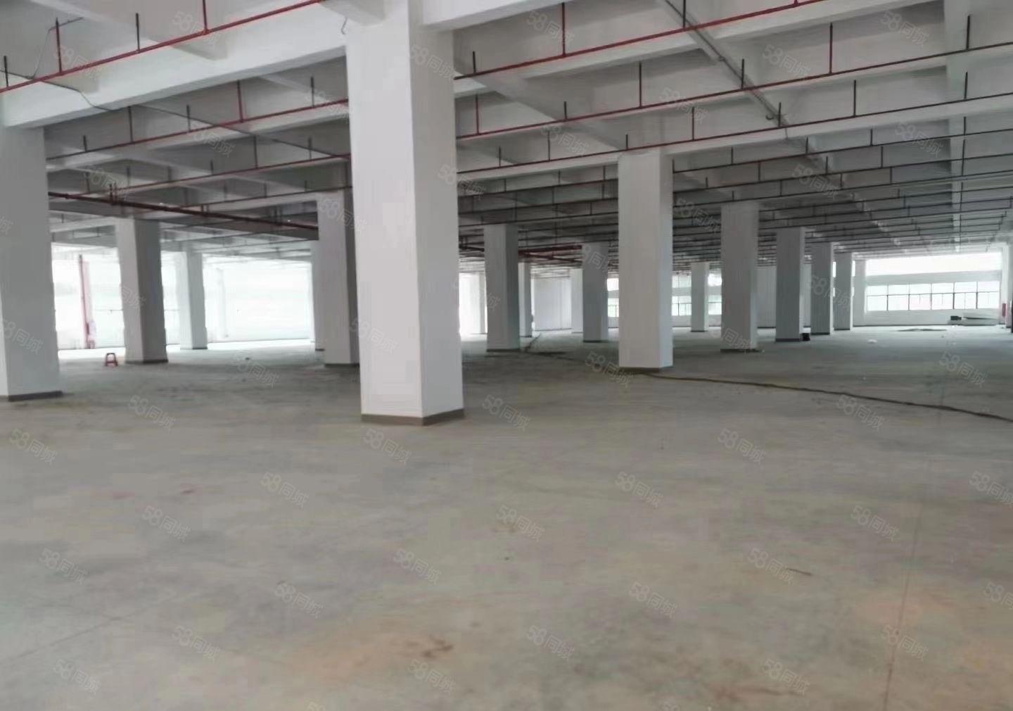 东风社区本地房东厂房出租，大小面积可以分