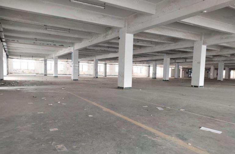 虎门独院厂房9.9元出租，空地大，交通好