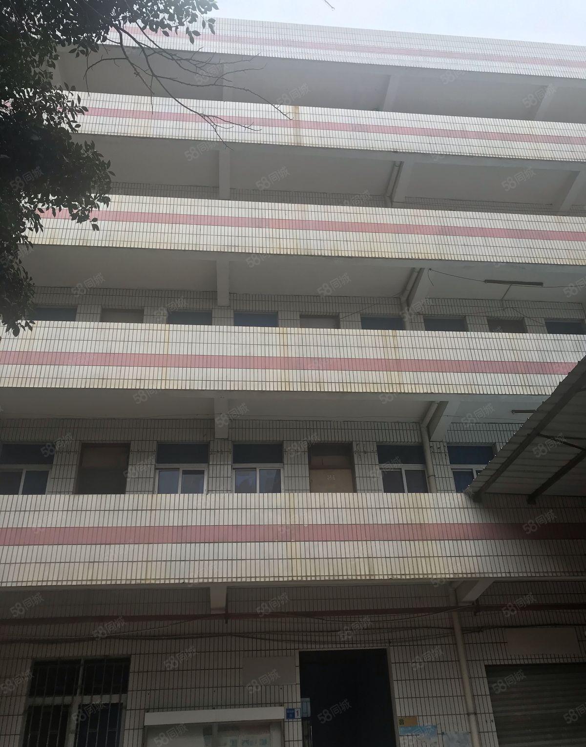 虎门威远炮台附近一二层厂房出租