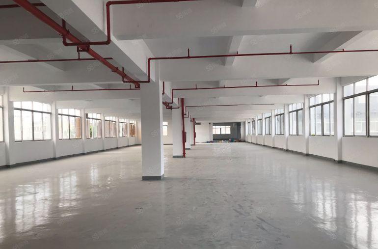 沿江高速旁虎门镇，南柵原房东独门独院厂房，带全新地坪漆