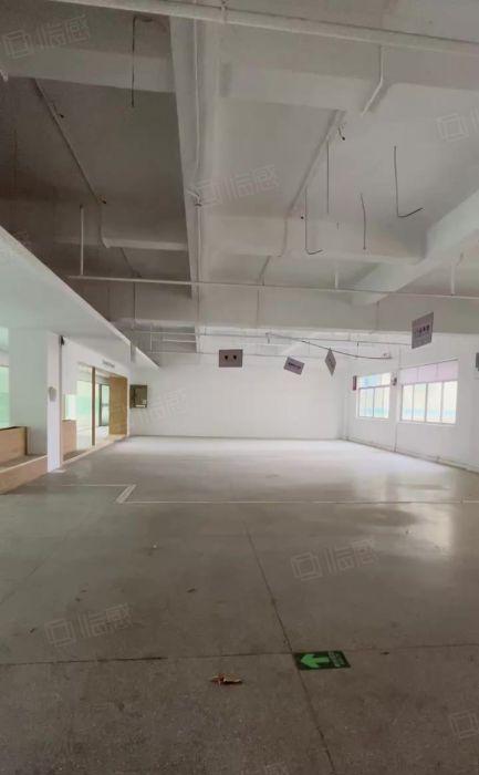 虎门北侧独院可分租，原厂服装电商，现成水电精装修