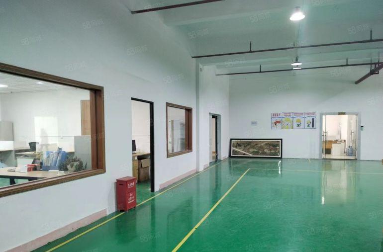 虎门1480平厂房9.9元带办公室，全新地坪漆！