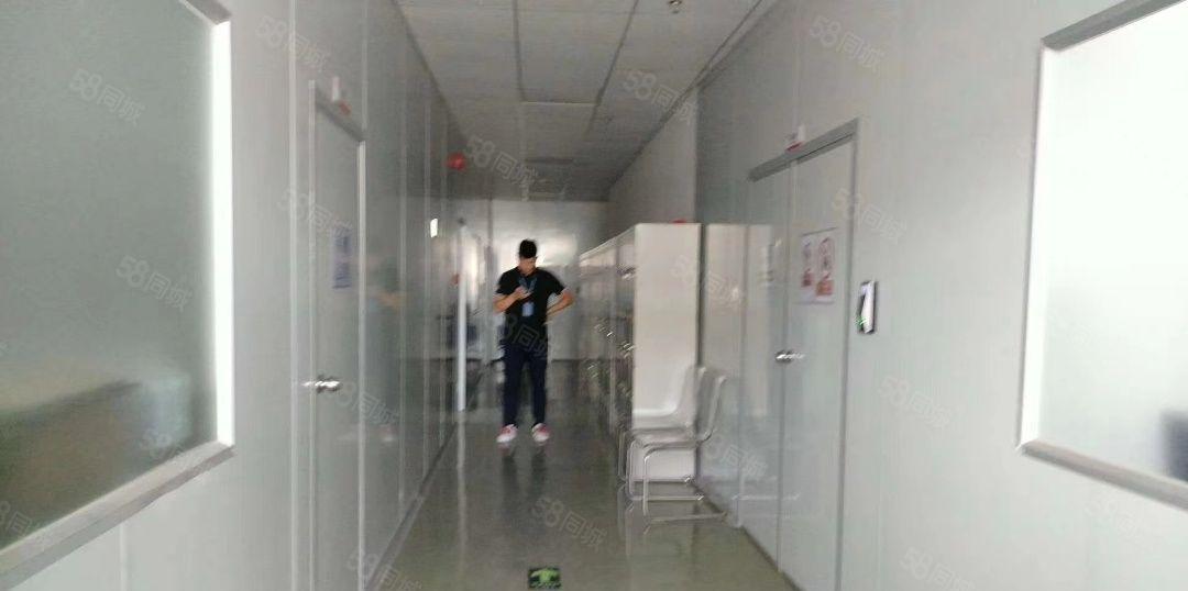 虎门镇原房东厂房2万，宿舍6000平方，独门独院无尘车间招租