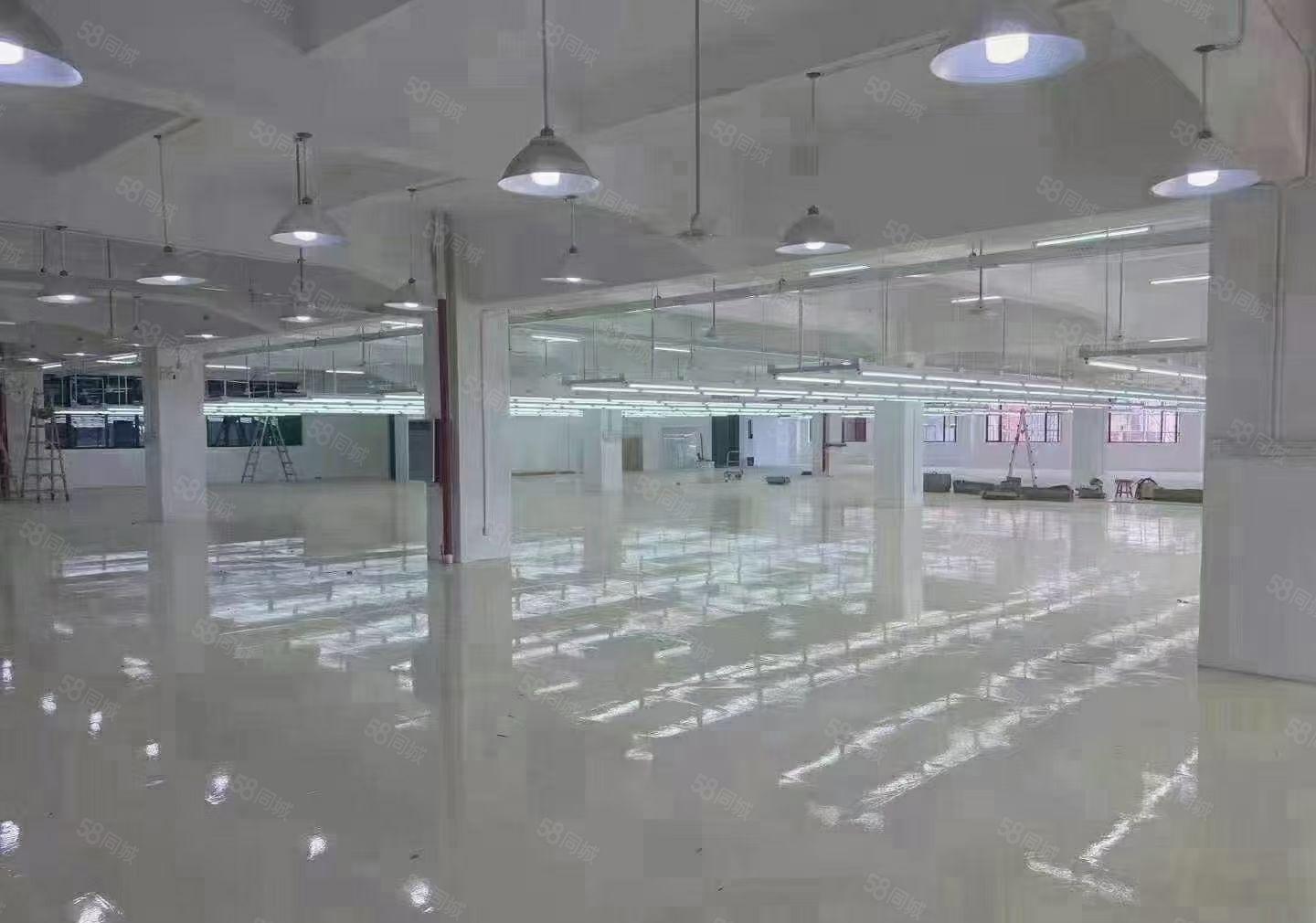 虎门镇新联工业区厂房二楼1000平方