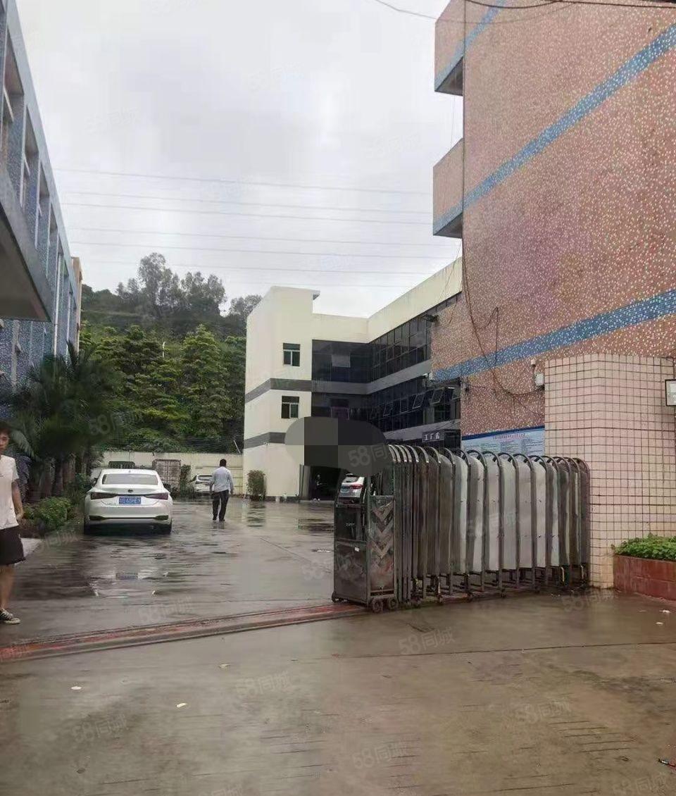 虎门独门独院8000平厂房出租带独立办公室带宿舍