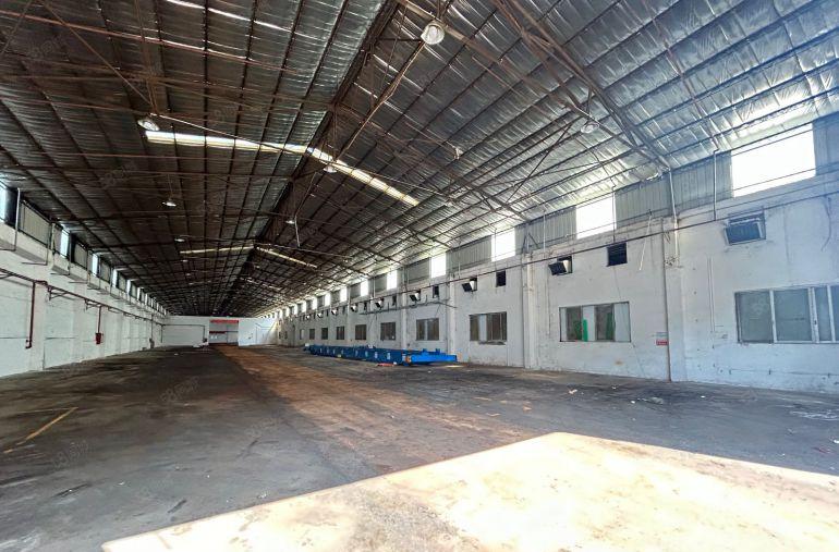 虎门一楼独院钢结构厂房出租适合设备仓库行业
