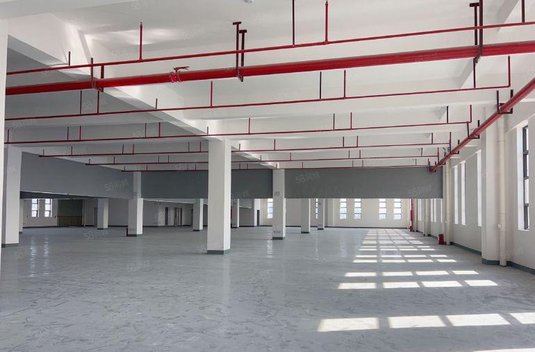 虎门怀德实际面积2300平方全新红本厂房出租5吨货梯电子仓库