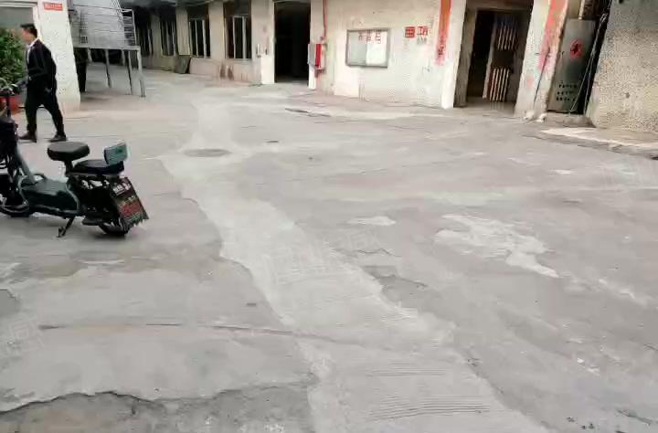 虎门精装独院厂房主干道旁可办环评500起分租12元月