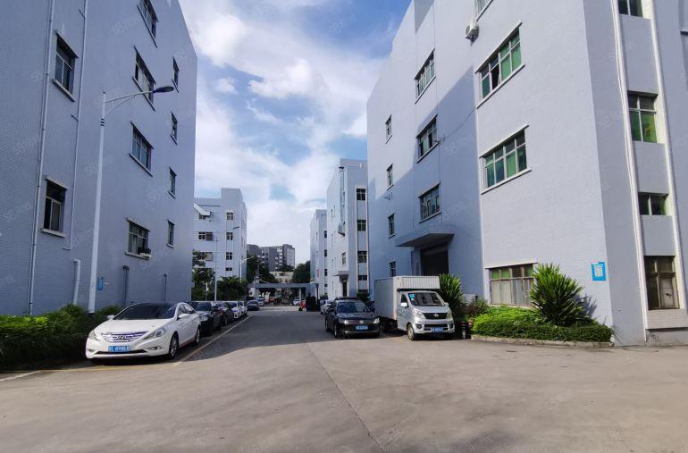 9块钱起租虎门标准工业园区5000平原房东厂房仓库出租可分租