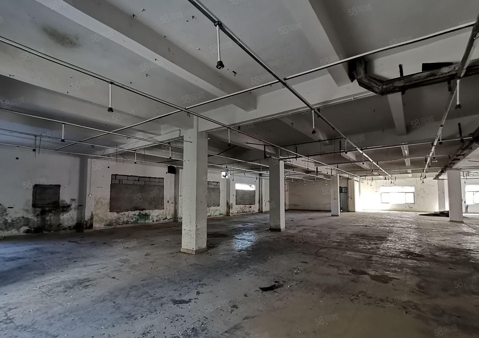 虎门南栅独院厂房4500平一层 靠近长安  面积大小可分