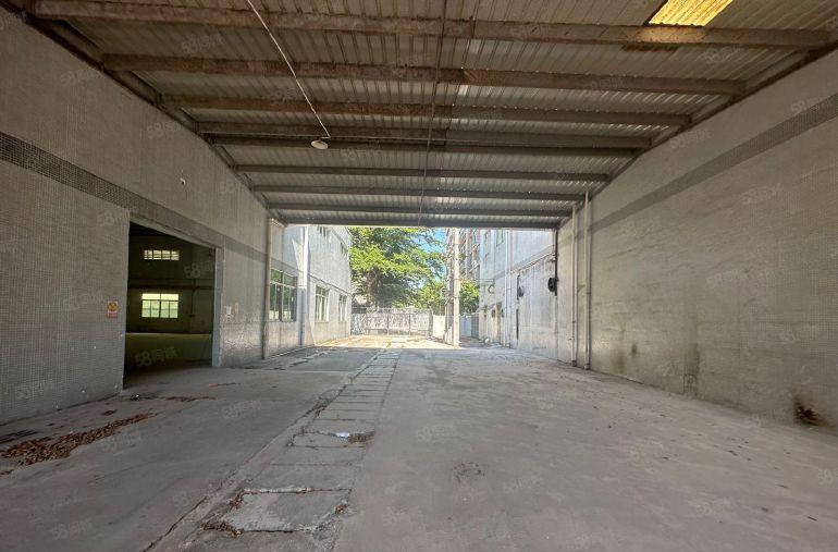 虎门赤岗环莞快速旁10米高钢构8000平原房东