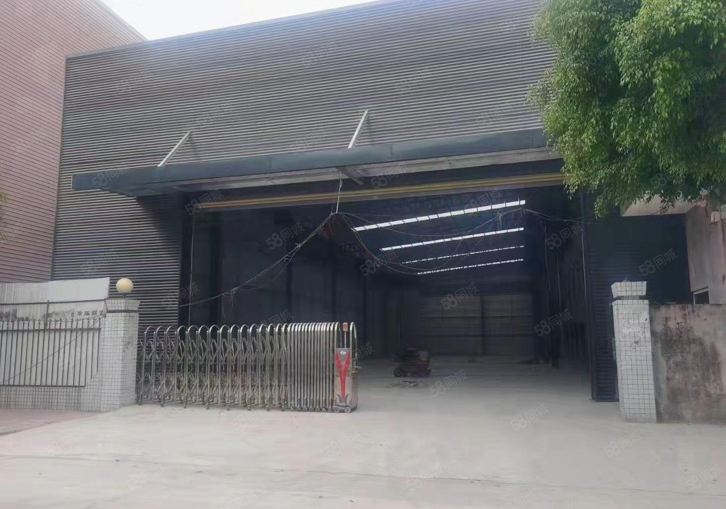 实际面积！低价！龙眼原房东全新10米高5000平钢构厂房出租