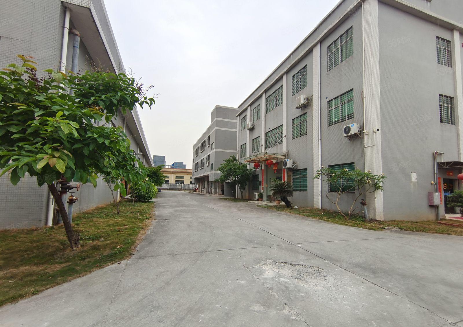 虎门原房东独院厂房8000方实际面积可办环评，配套宿舍办公楼