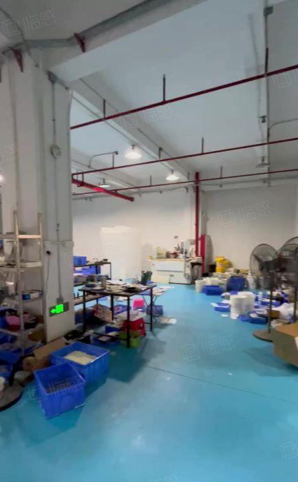 虎门豪华装修原电子厂房出租，重工业机器设备可上楼