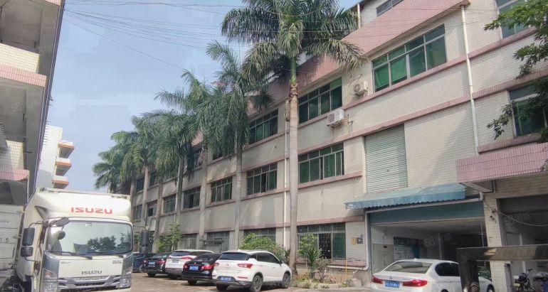 18块租一楼400平和650平！虎门大宁标准一楼厂房低价出租