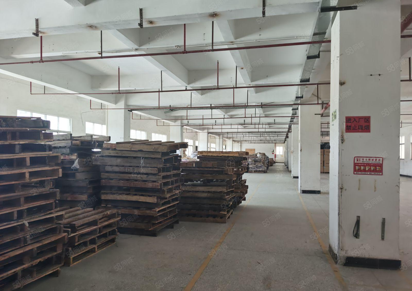 精选厂房新出一手房东厂房出租一整层2500方实际面积长方形