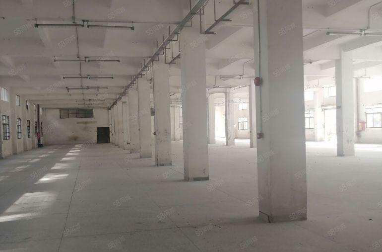 虎门黄河时装城附近独院厂房出租1.5万平米可分租500平米起