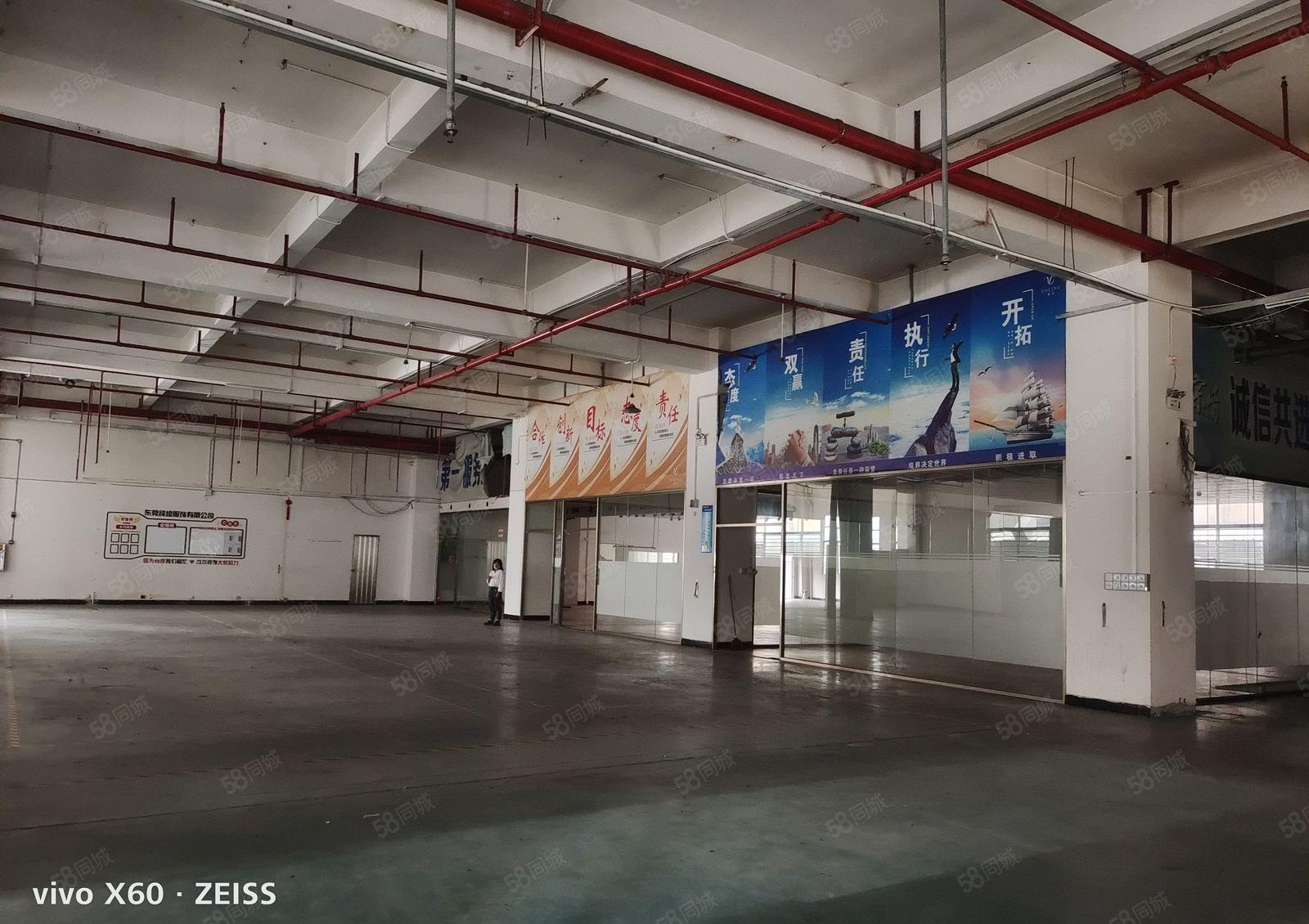 虎门镇龙眼工业园标准厂房一楼1420平方厂房出租，可以分租