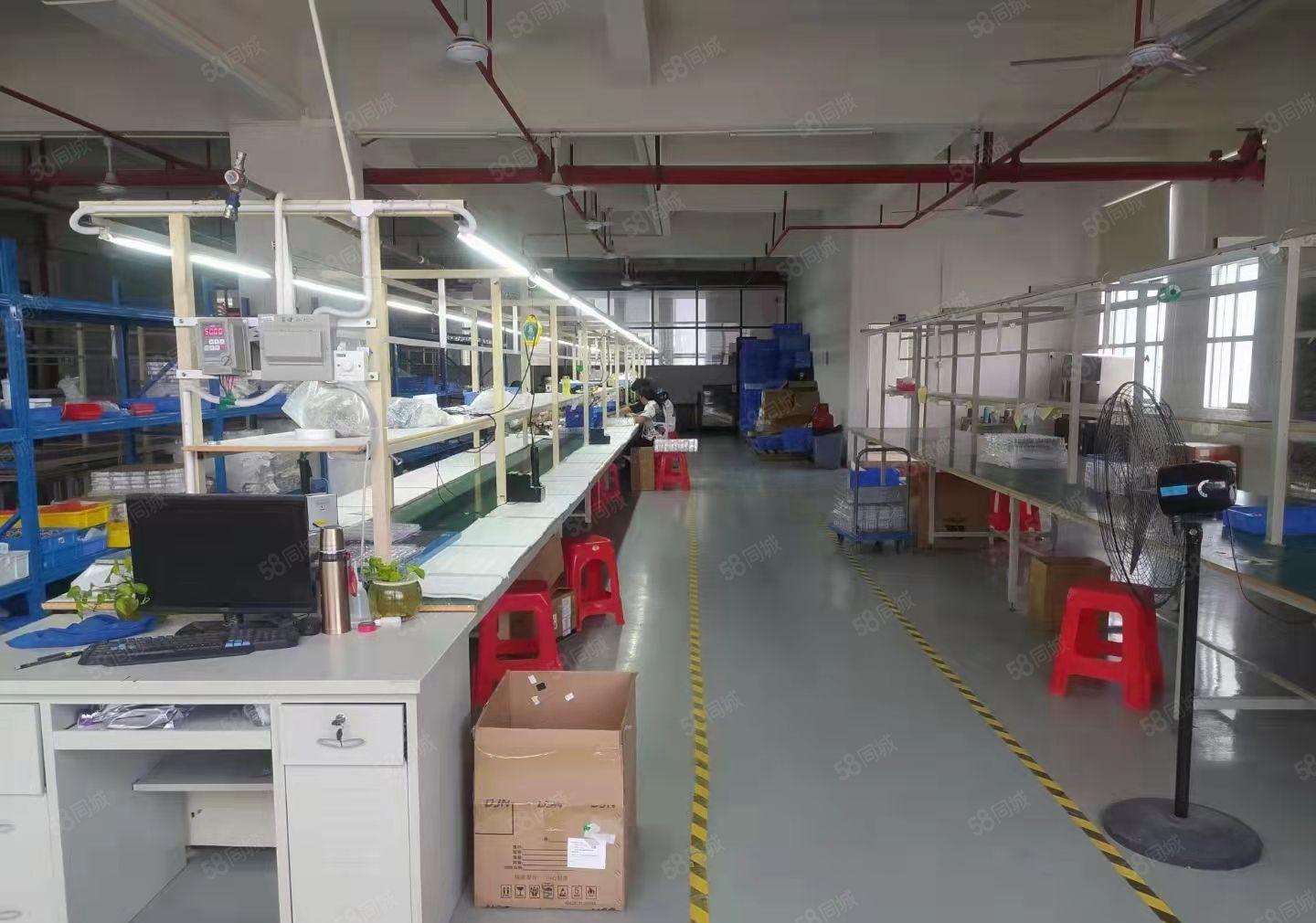 出租虎门雅瑶4楼1600平，水电办公齐全园区高大上