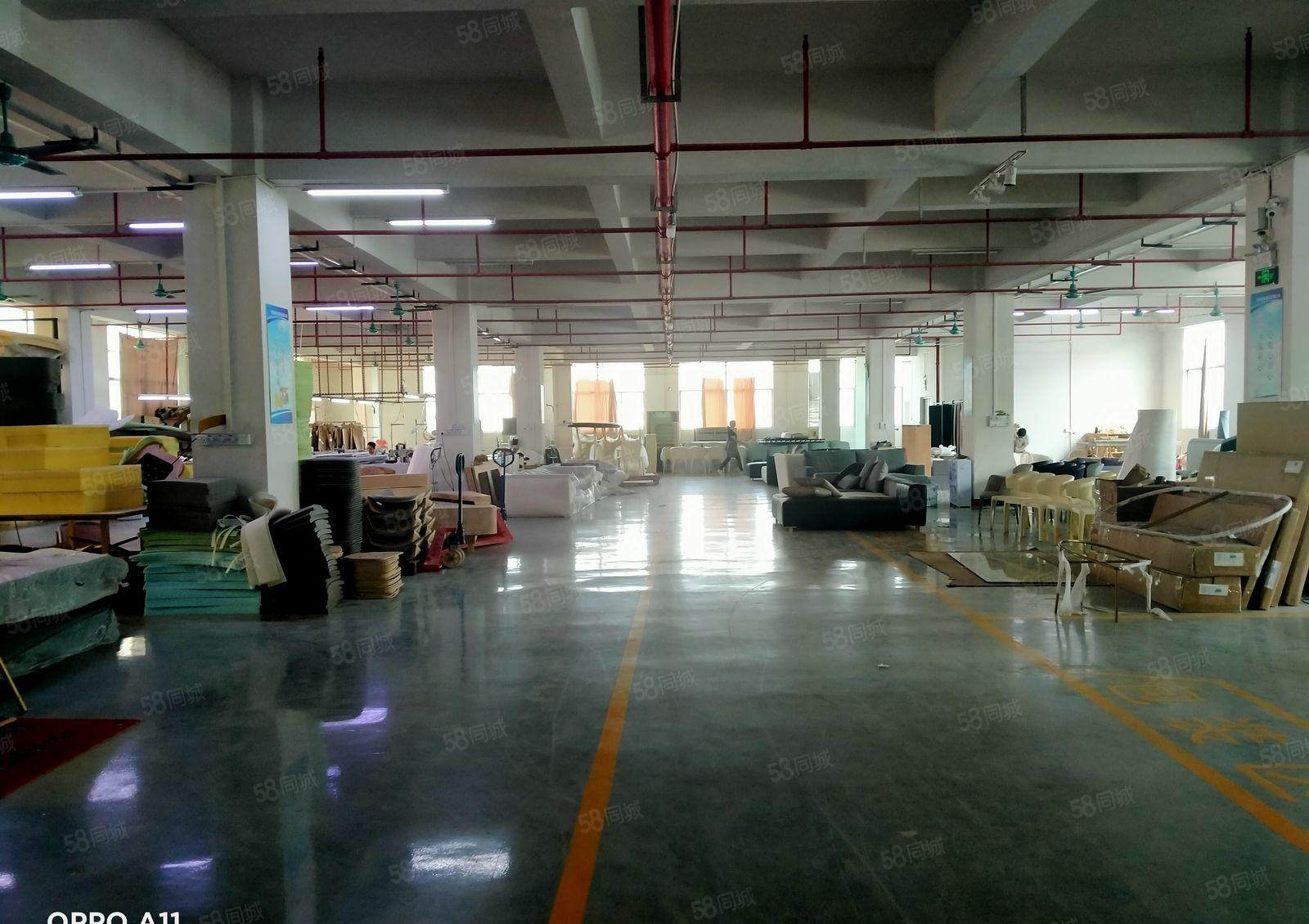 虎门靠厚街标准独院厂房4500平租金11元平方原房东水电齐