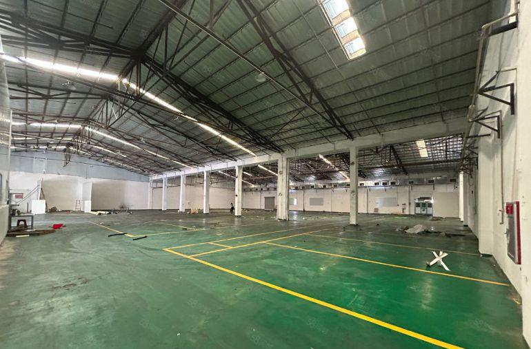 虎门一楼独院钢结构厂房出租适合设备仓库行业