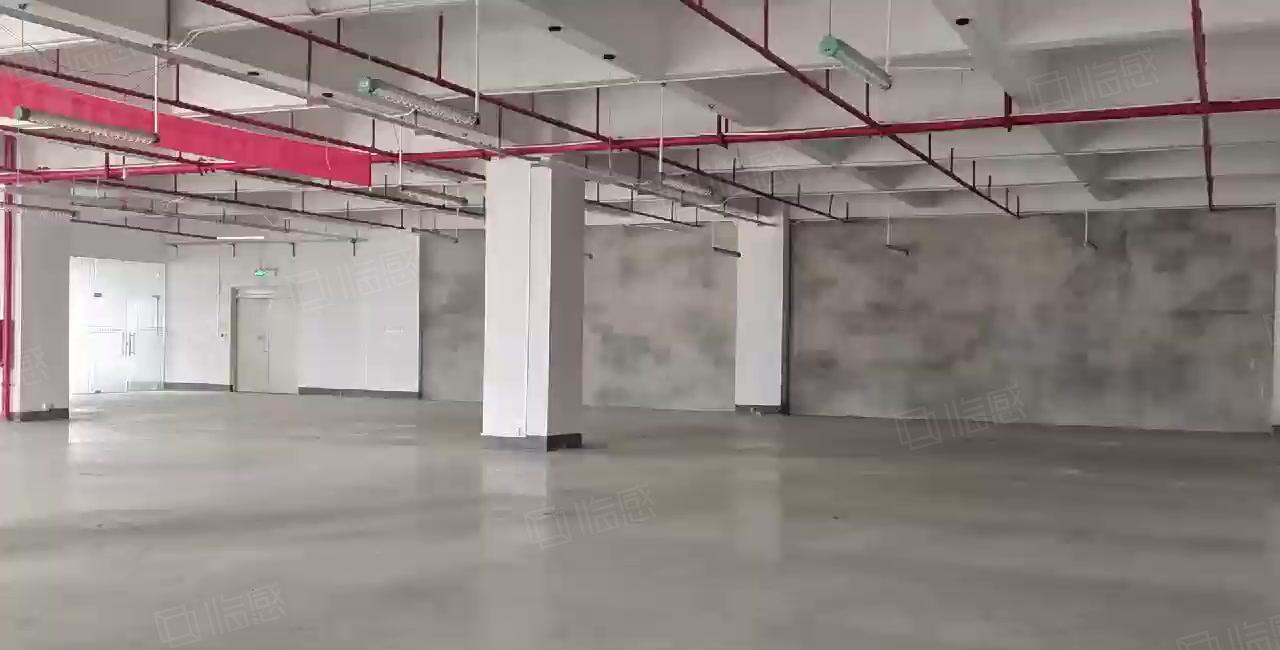 虎门镇树田分租重工业厂房4楼1150平方厂房出租