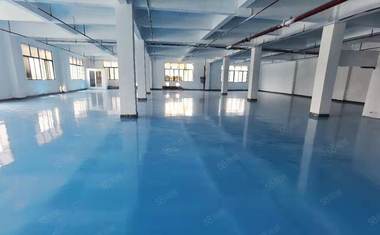 虎门镇龙眼工业区园区独栋厂房三层3000平米带装修可以分层租