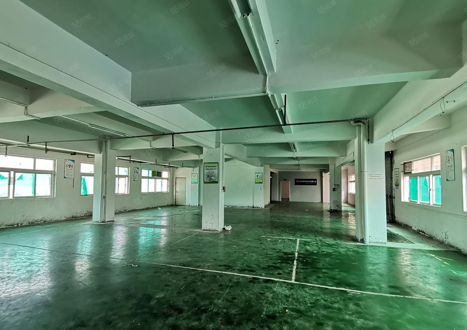 虎门树田靠长安附近楼上550平带装修 办公室水电齐全