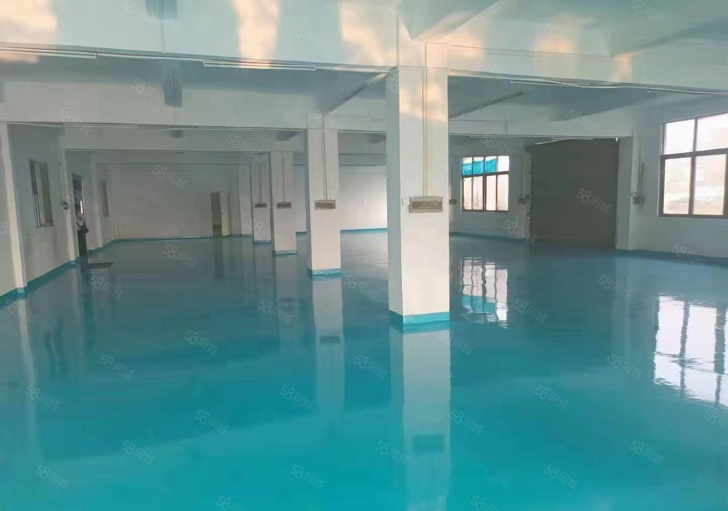 豪华装修二楼标准厂房出租