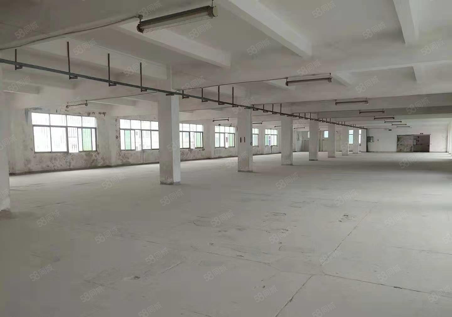 长安镇沙头新出独院厂房仓库出租7200平可办环评大小可分租