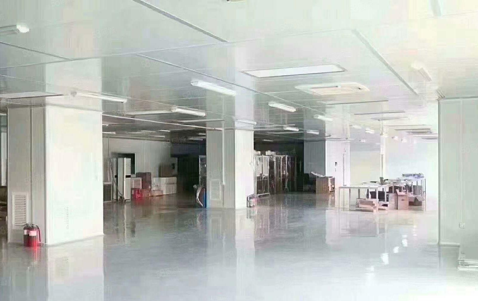 楼上精装修厂房招租1000平方，工业厂房水电齐全，交通方便