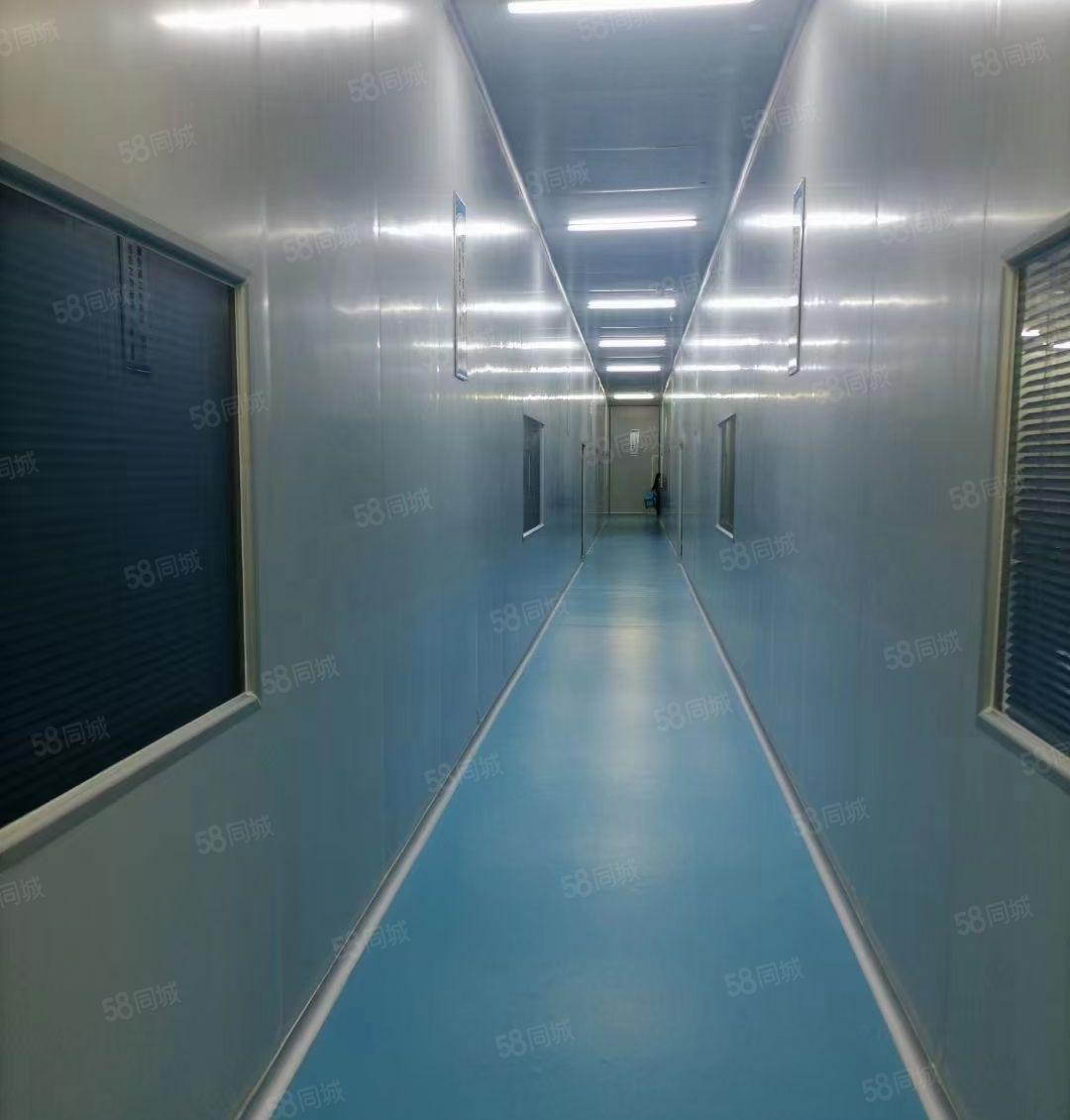 长安上沙厂房出租新空楼上无尘车间1380平