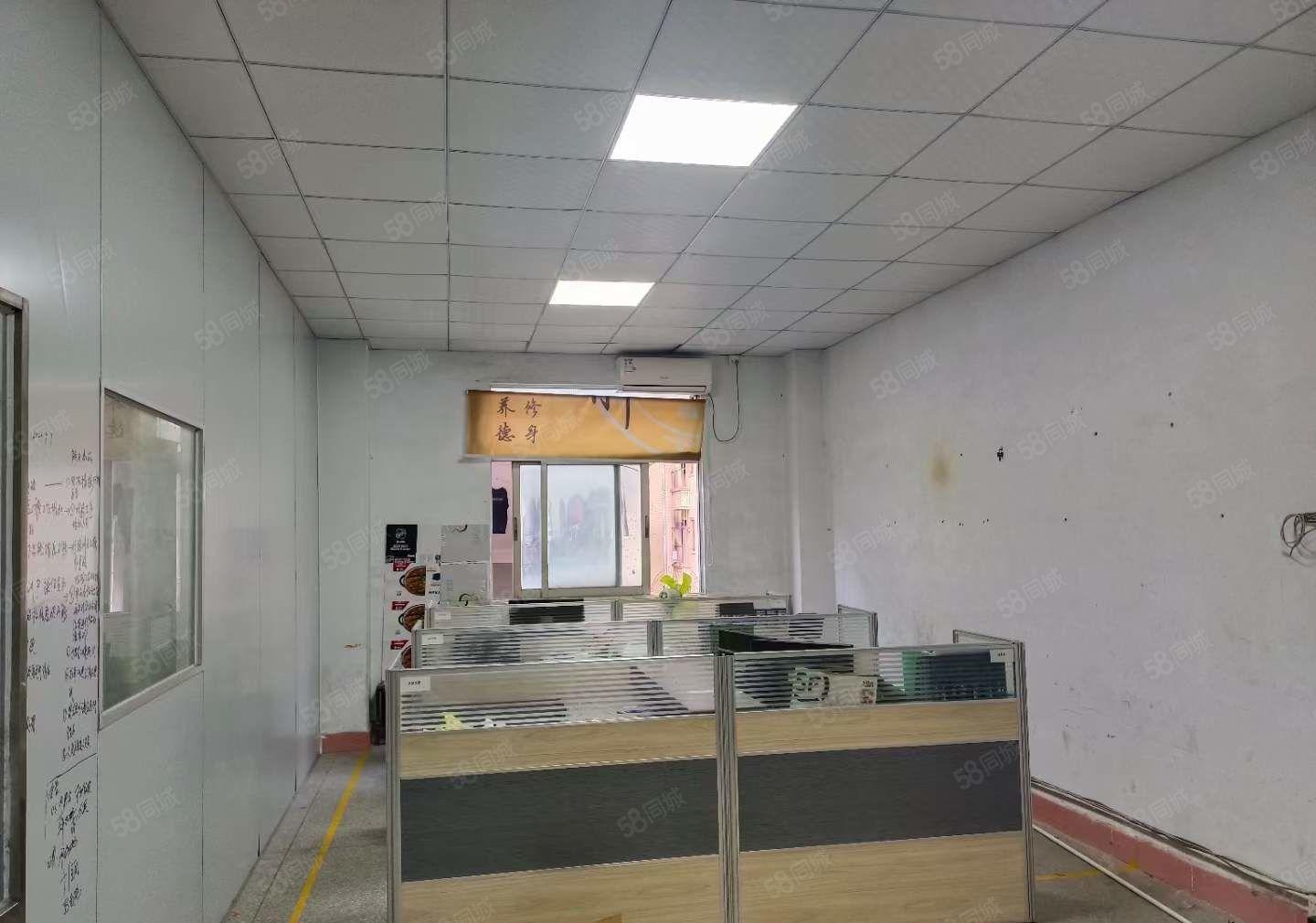 长安沙头新出三楼1000平洁净车间厂房出租 可分租