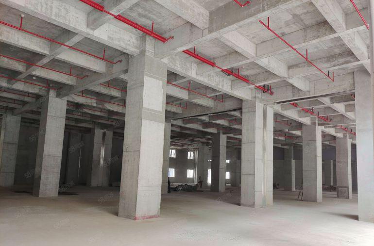 无公摊开发商直租全新高标准厂房15元起十年长约