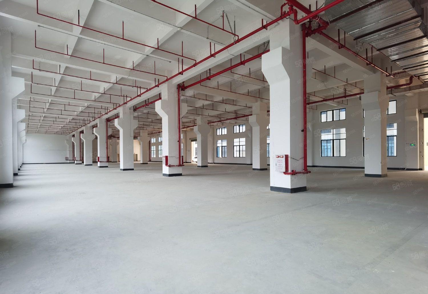 大岭镇原房东独院28000平方全新厂房低价出租大小可分租