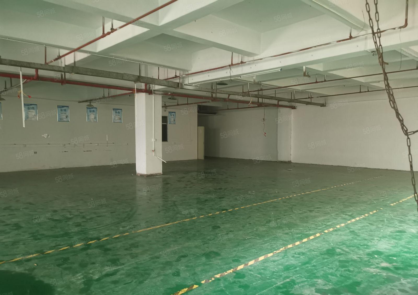 厦边新出楼上1100平方精装修厂房招租