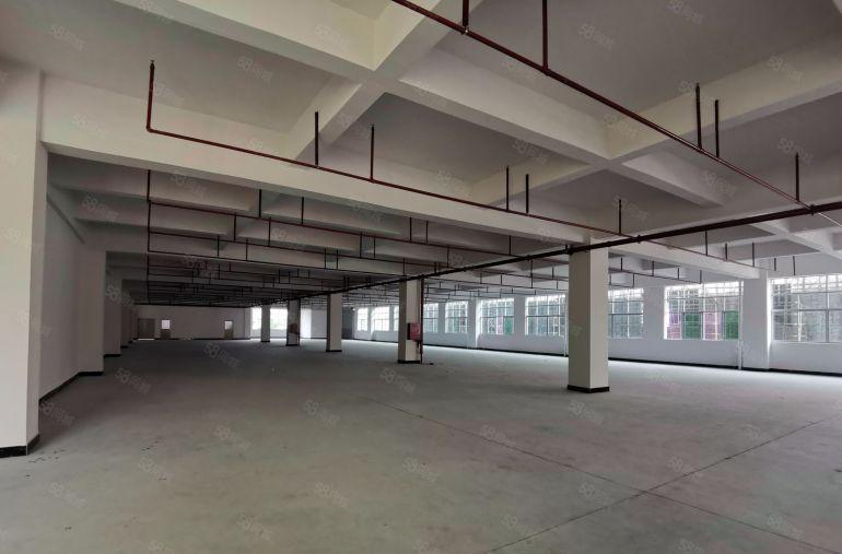 12元长安乌沙厂房出租仓库出租3000平方100平分租带装修