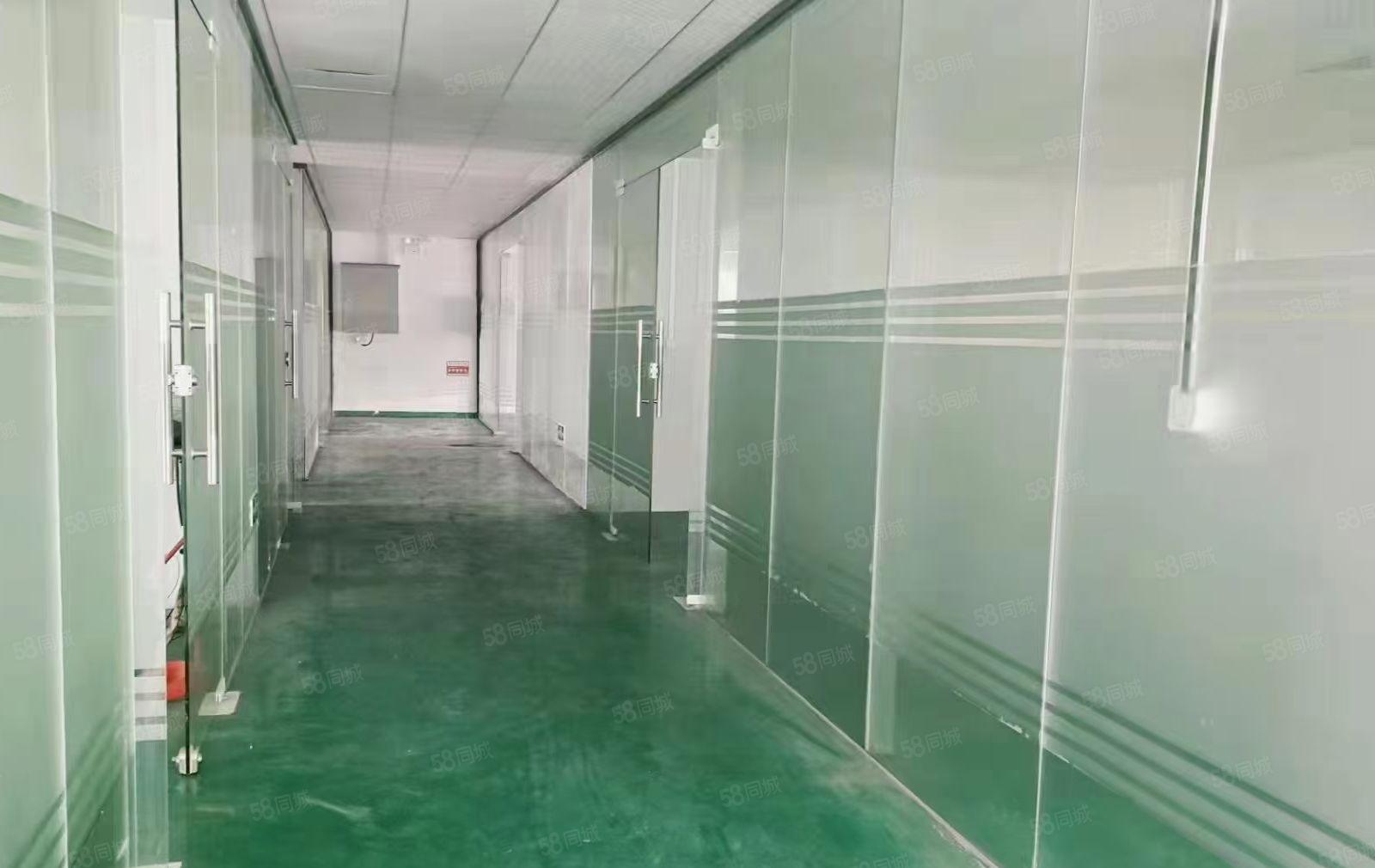 长安镇街口新出厂房仓库出租楼上1130平带装修大小可分租