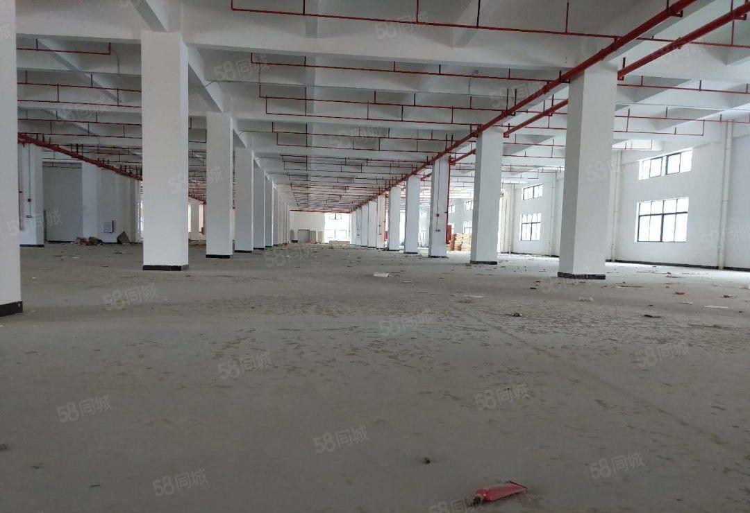 宵边一楼厂房5500平可分租5.5米高形象好空地超大环境优美