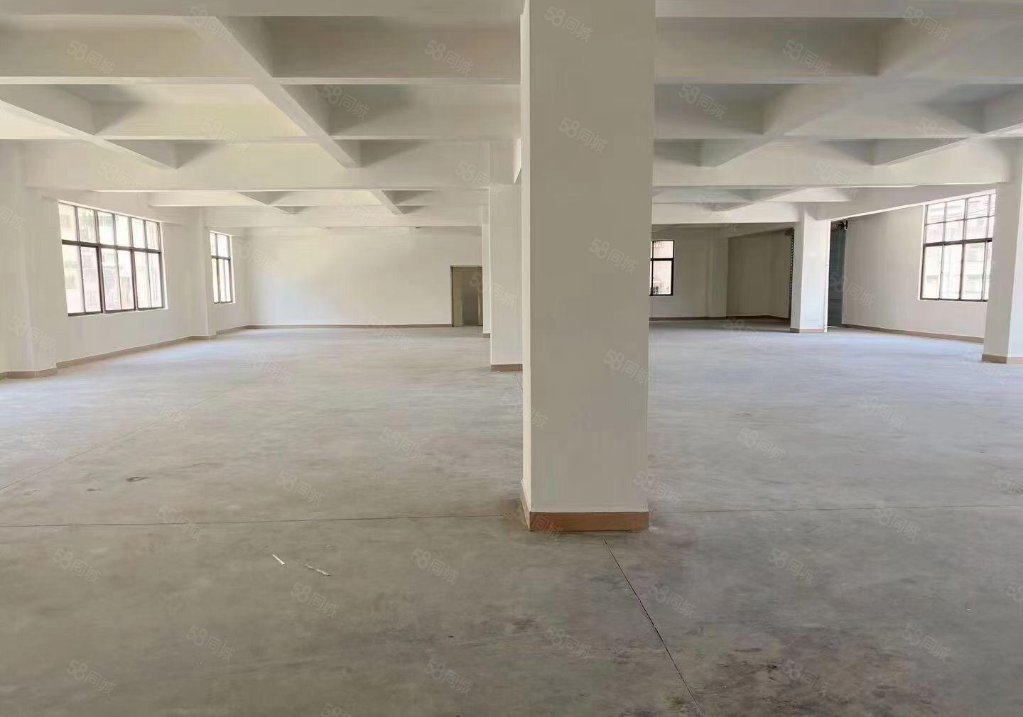 全新厂房，独门独栋，物美价廉