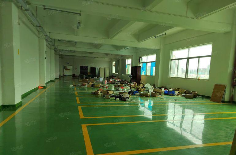 长安靠深圳楼上1500平厂房出租精装修水电齐全整层无转让