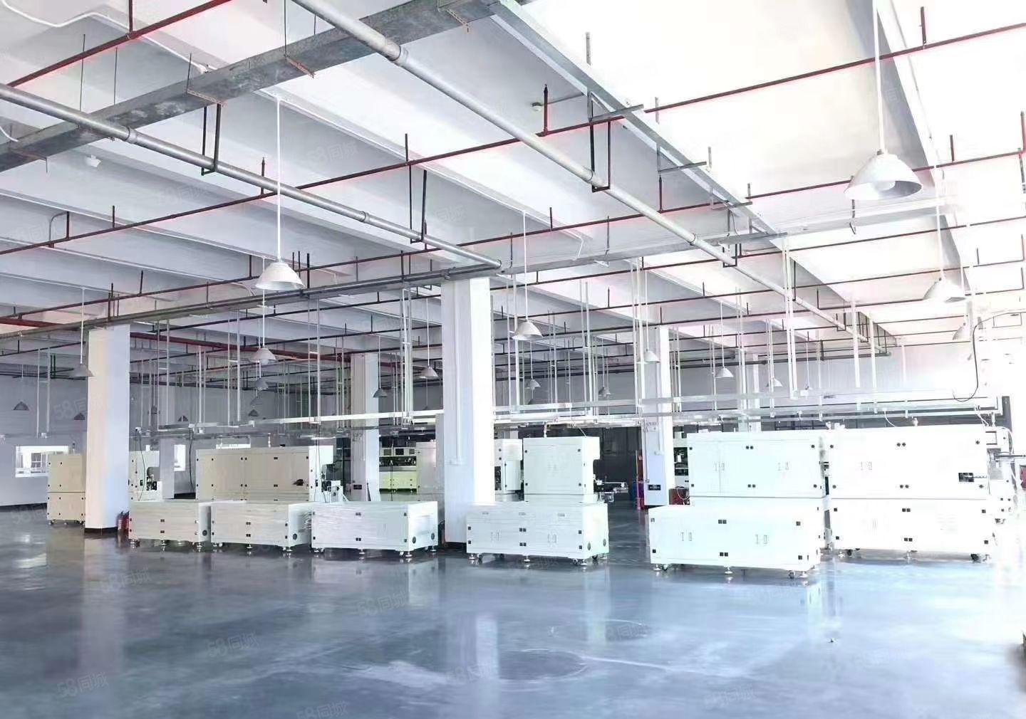 长安新出一二楼5200平方高端厂房，豪华装修，低价招租