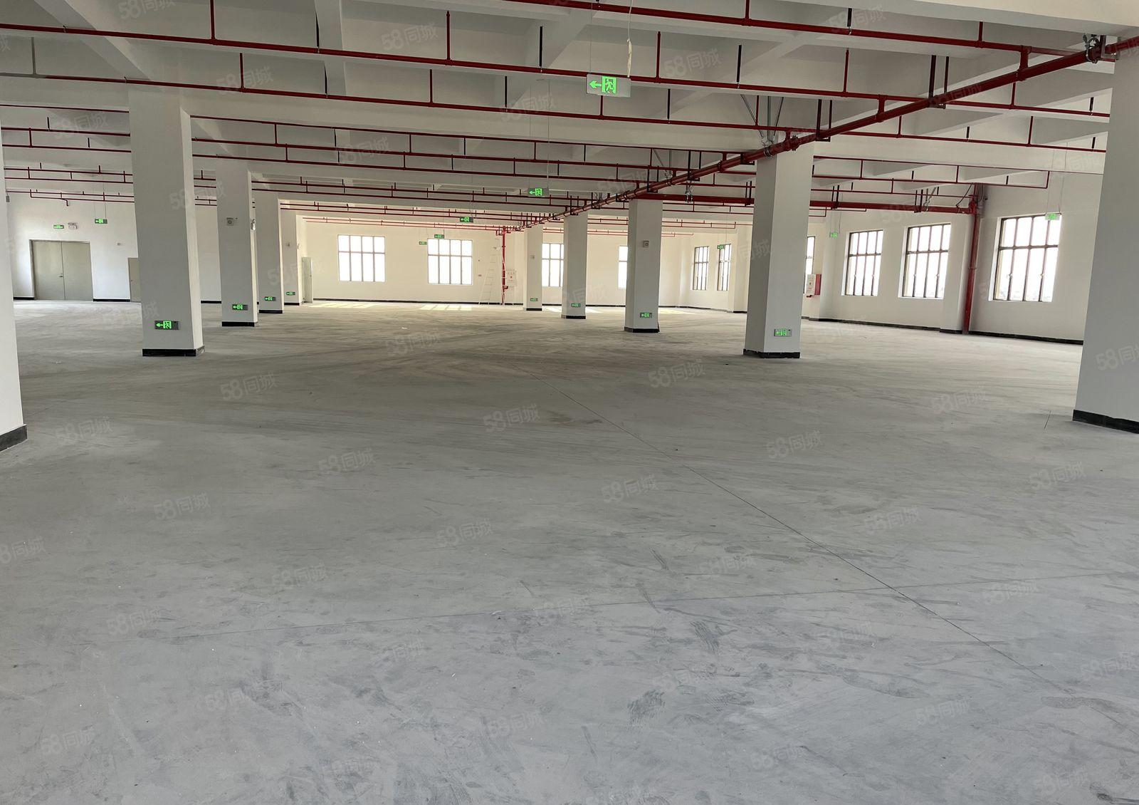 上屯原房东低价分租123楼，带注塑五金环评5百平方起分