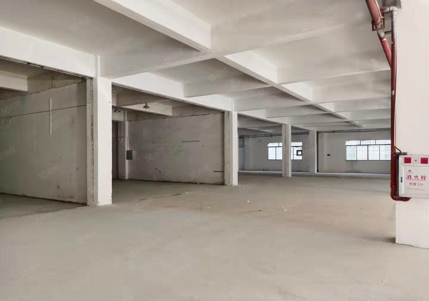 靓盘出租长安沙头太安路附近产业园园14每层1000平