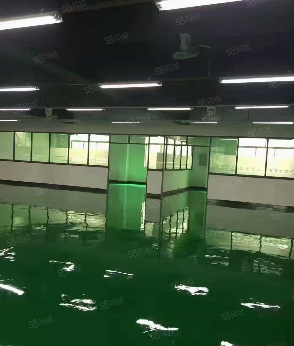 长安厦岗楼上新出全新装修，楼上厂房出租，实量1500平方