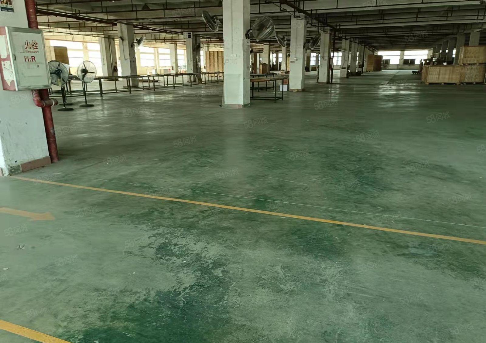 急租，低租金 长安镇锦厦新出楼上厂房11000平出租 可分租