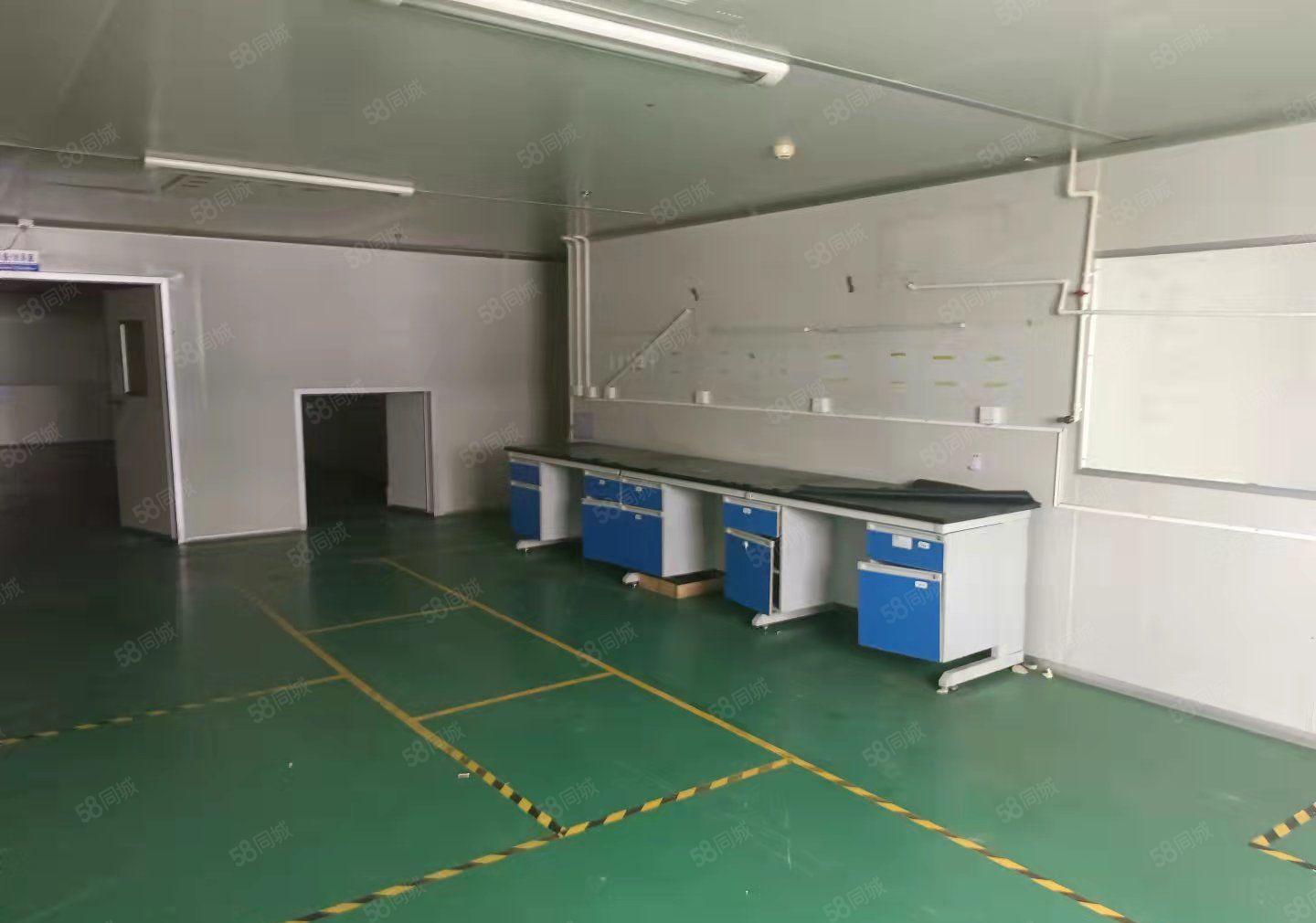 可办环评 长安镇宵边社区新空出二楼5000平方标准厂房出租