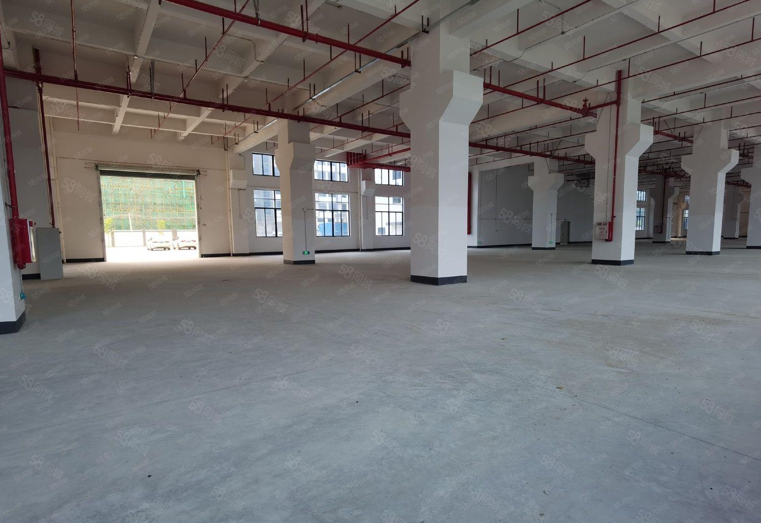 大岭镇原房东独院28000平方全新厂房低价出租大小可分租